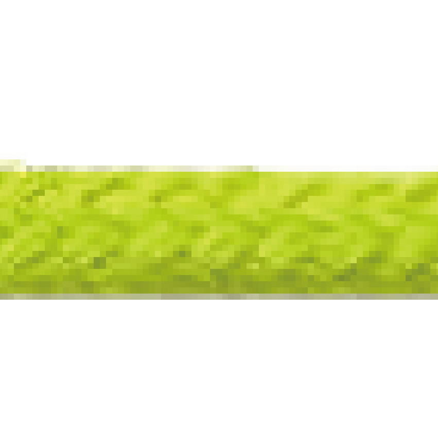 ライトグリーンの紐色
